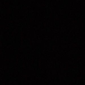 Meet your Posher, Lola